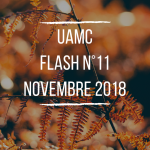 FLASH n°11 – Novembre 2018 flash-n11-novembre-2018