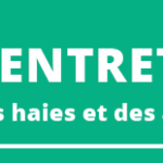 Taille des haies durant la période de nidification : Que dit la loi ?