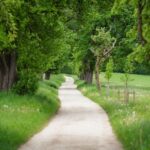 Vente d’un chemin rural et mise en demeure du (des) riverain(s)